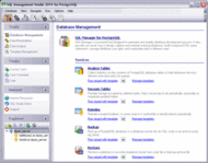 EMS SQL Management Studio for PostgreSQL screenshot